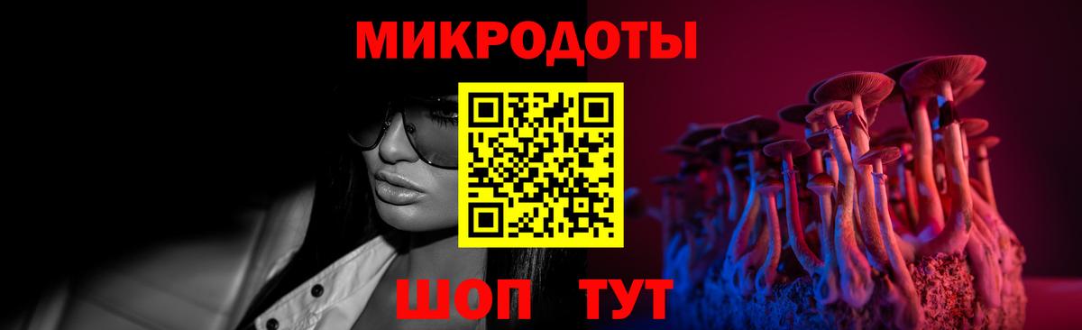 Псилоцибиновые грибы Cubensis Тосно